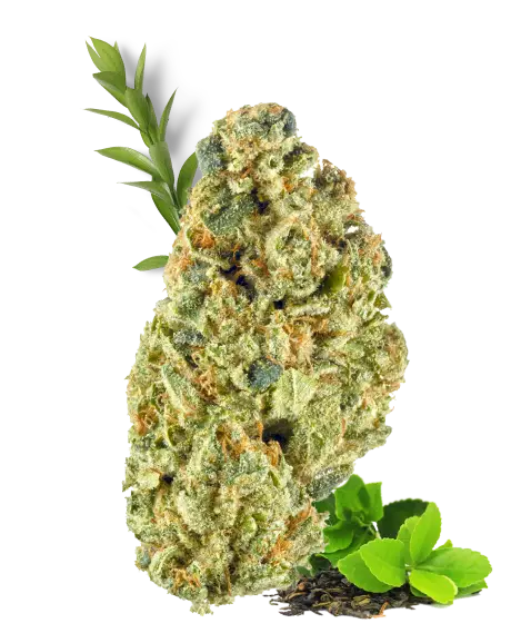 izenrx-cannabis-flower